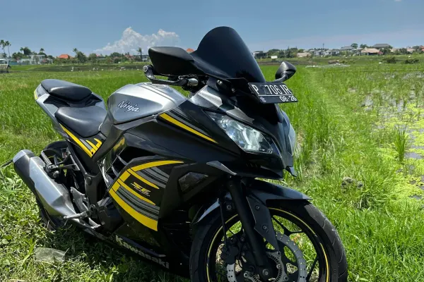 Yamaha MT25 6