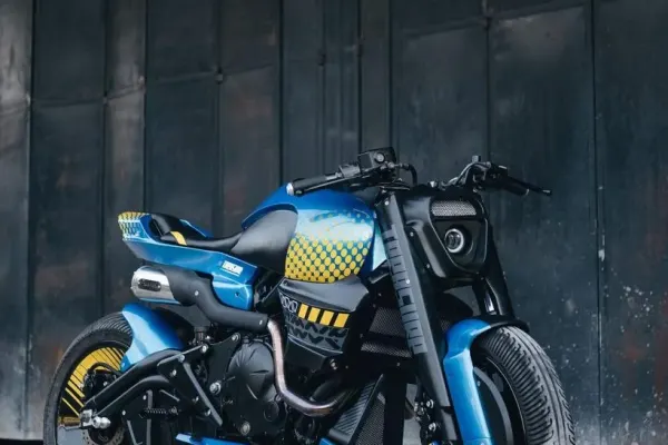 Kawasaki ER6 Custom XSR 900 Edition 2