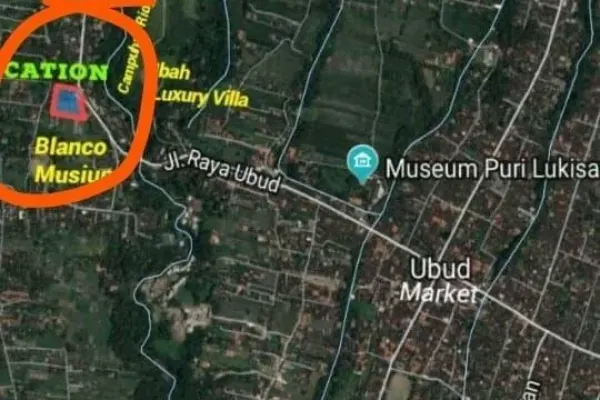 6000 м²