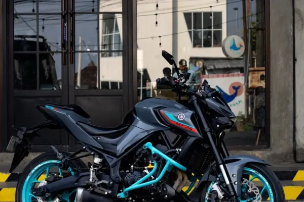 Yamaha MT25 Custom