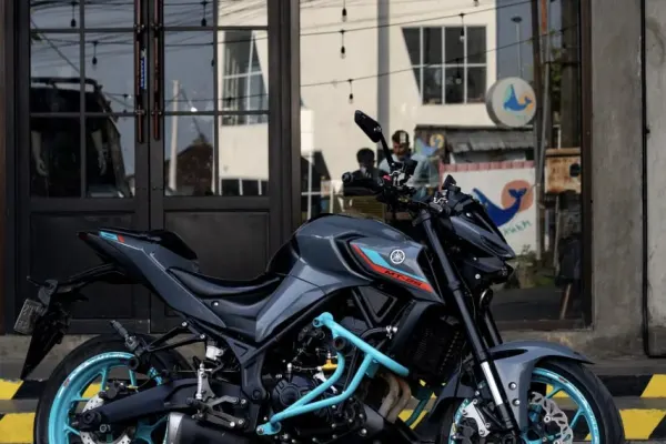 Yamaha MT25 Custom