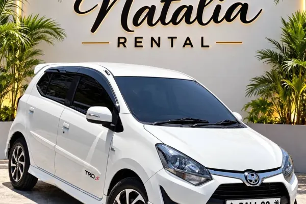 Toyota Agya 4