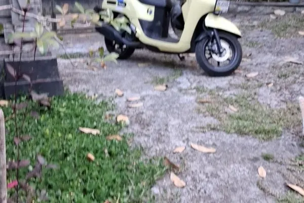 Fazio