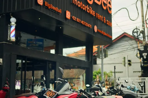 Yamaha Xmax ABS 3