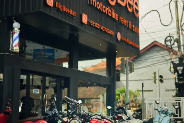 Yamaha Xmax ABS 5