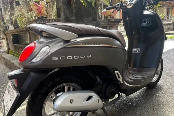 Yamaha Nmax 6