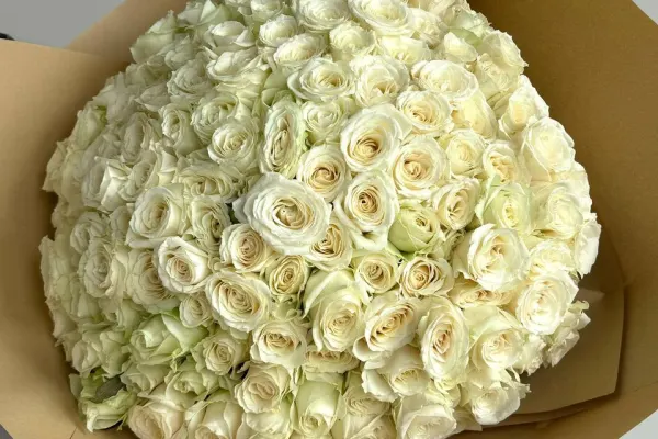 Shanti Flowers 4