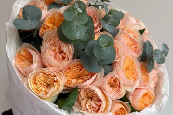 Shanti Flowers 5