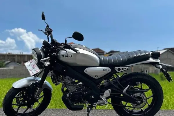 Honda Scoopy 4