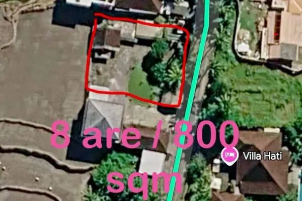 Дом · 800 м²