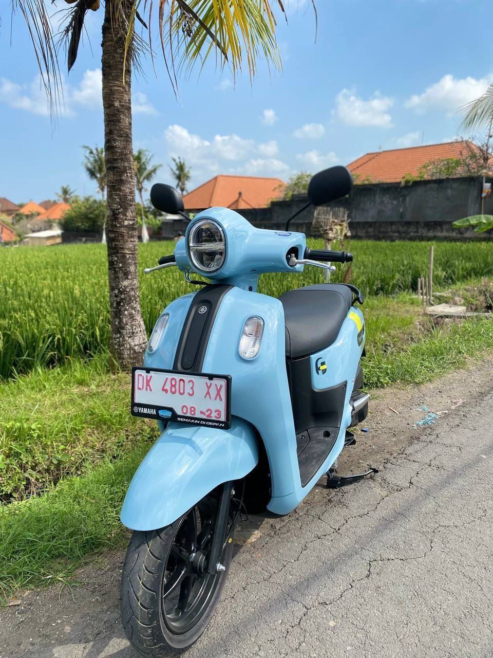 Honda Vario/Fazzio/Scoopy