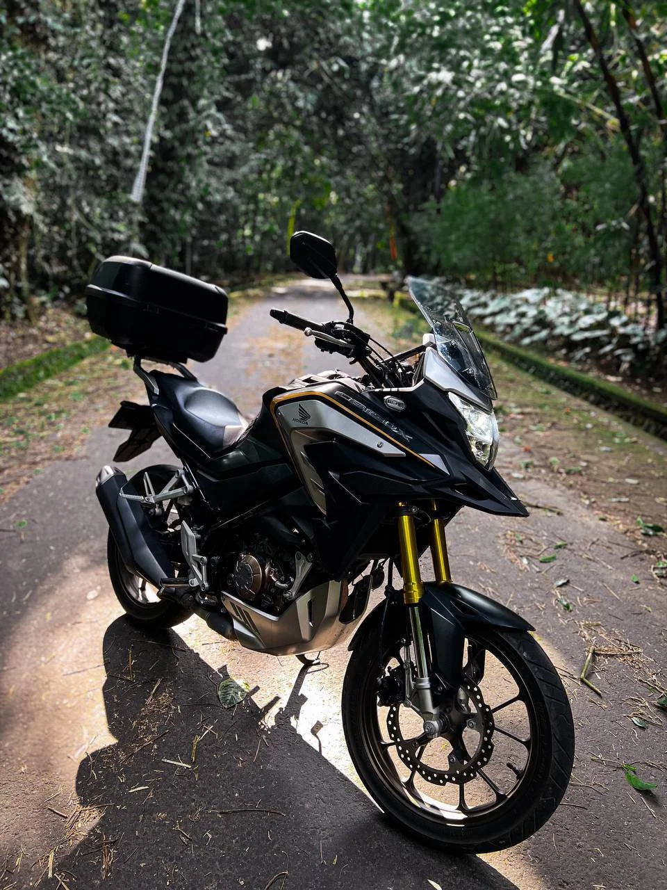 Изображение 6