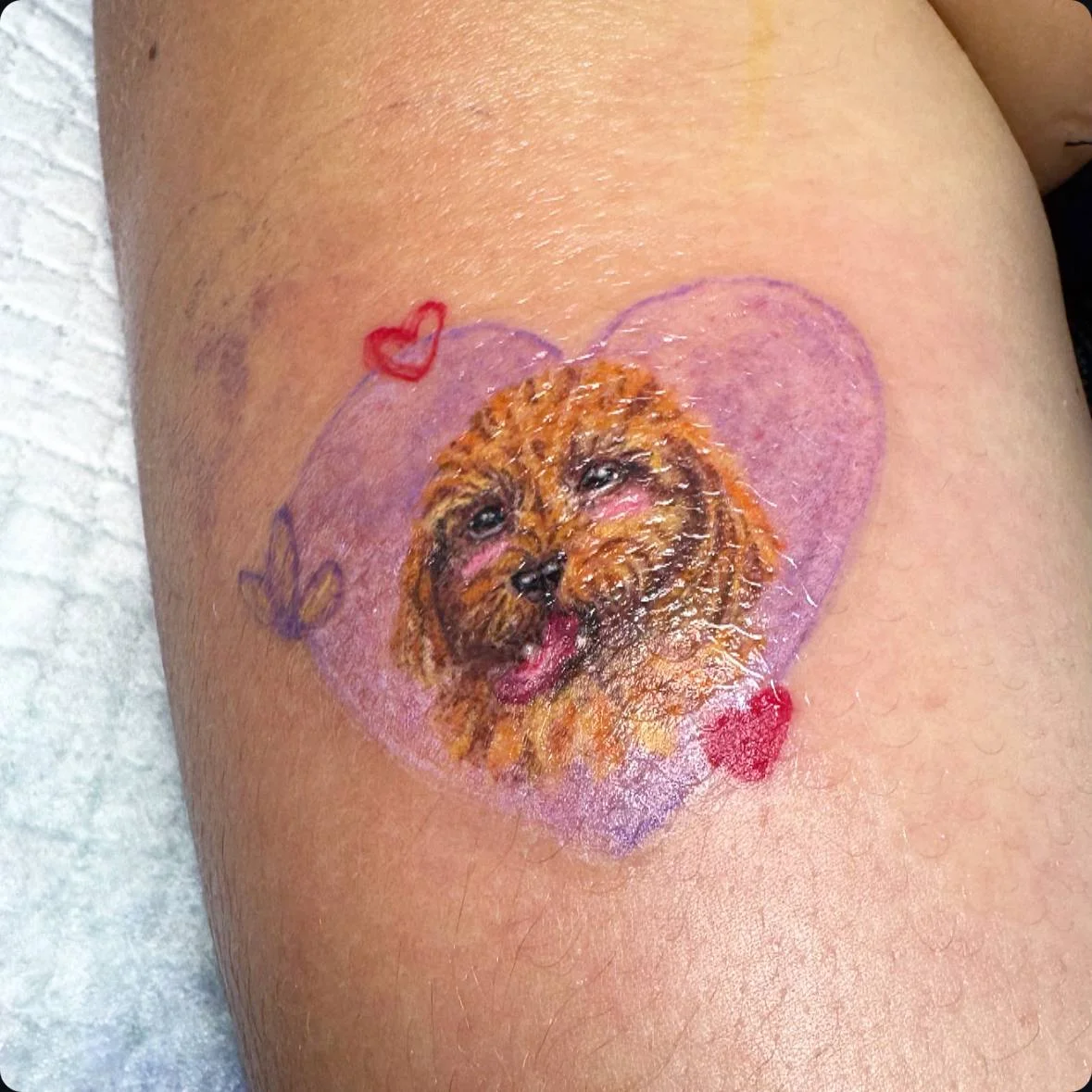 Изображение 8