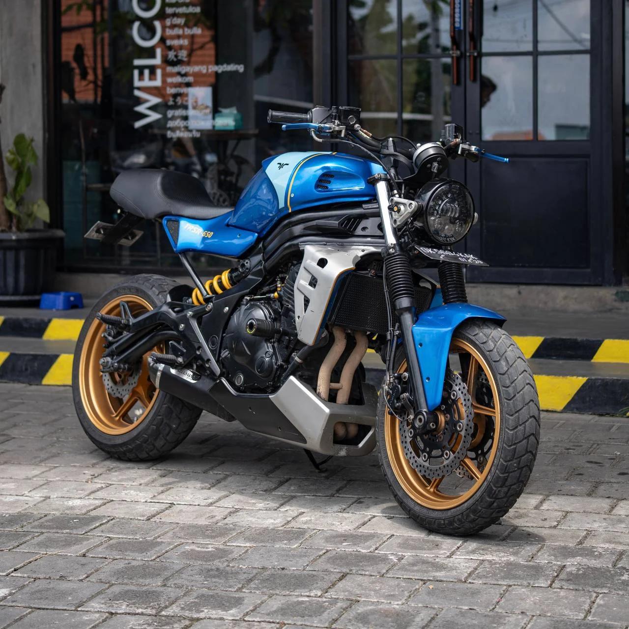 Kawasaki ER6N Custom – XSR900 Edition