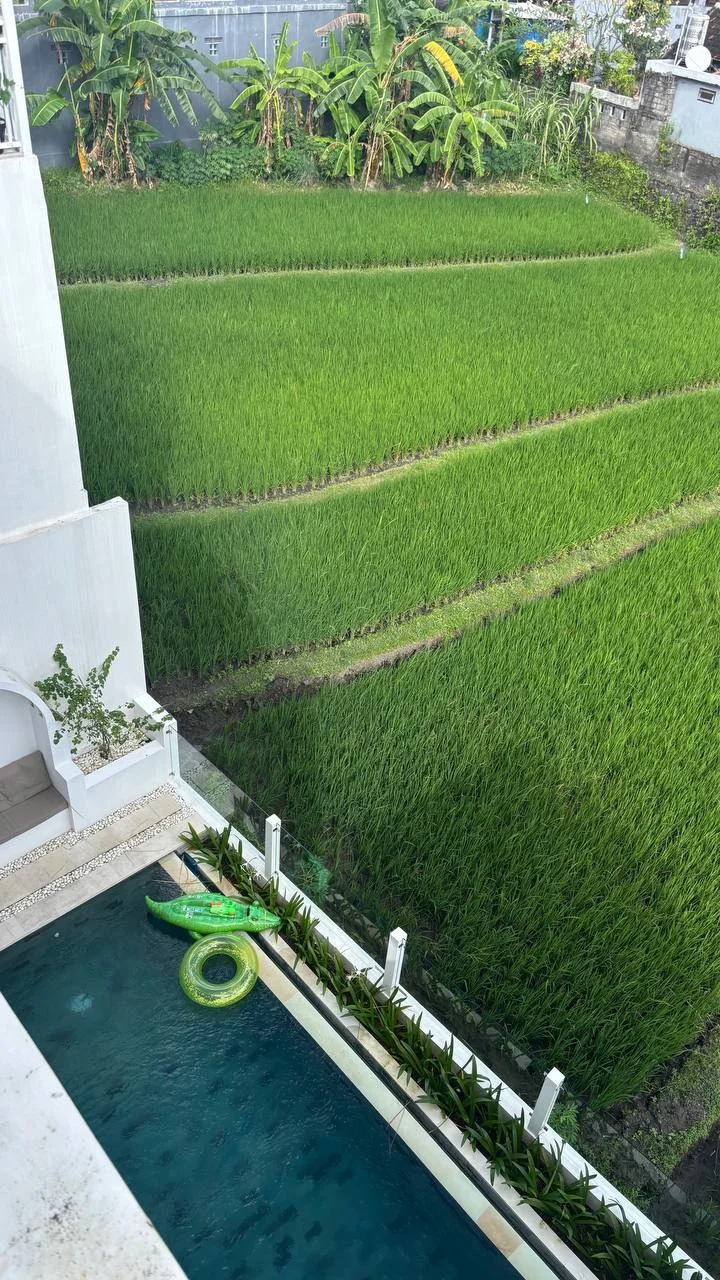 Изображение 9