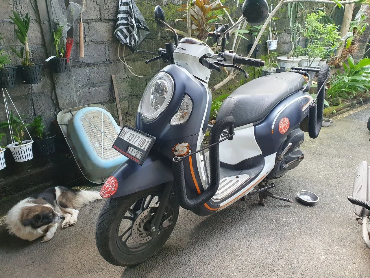 Изображение 4