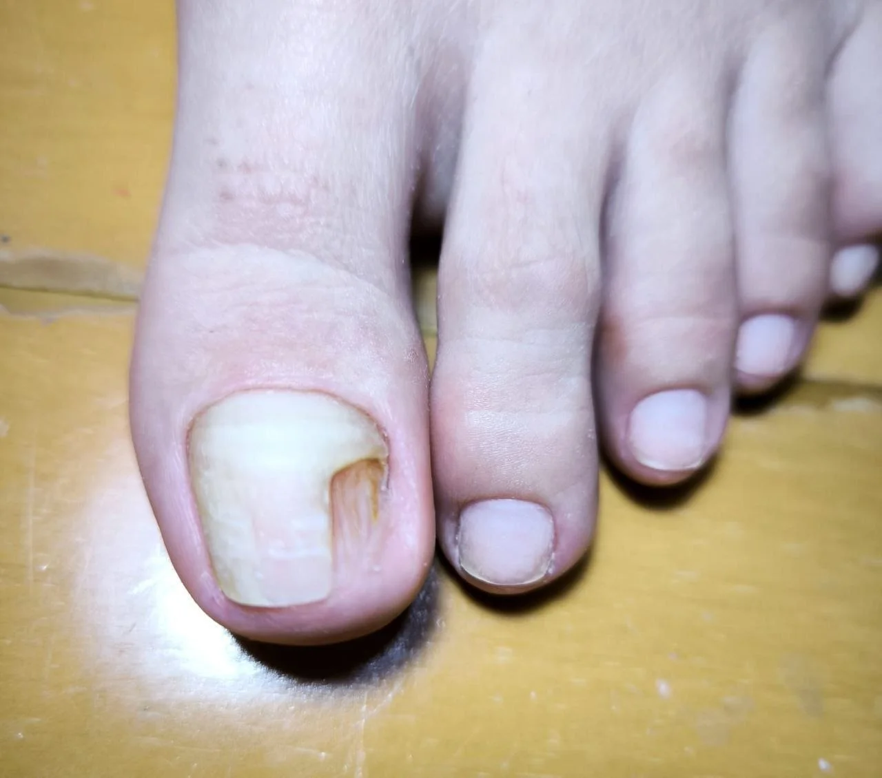 Изображение 4