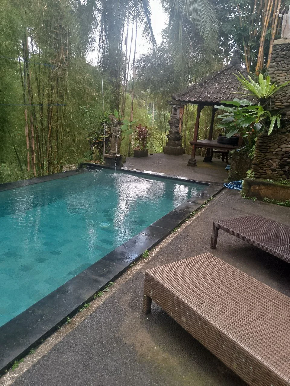 Изображение 8