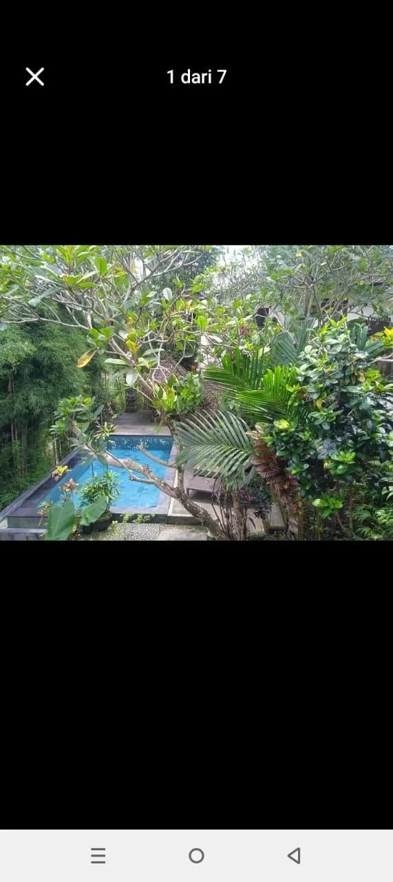 Изображение 9