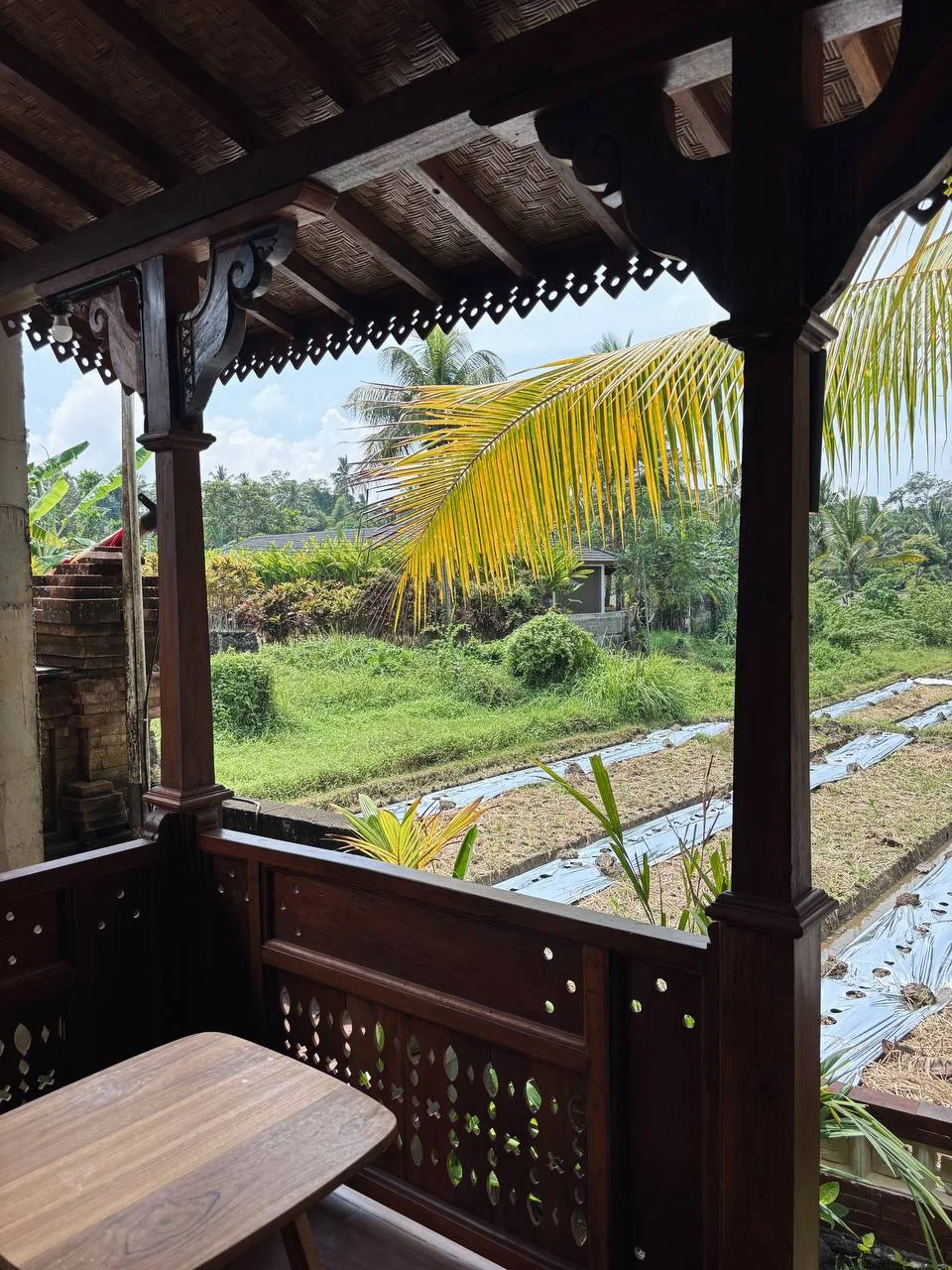 Изображение 8