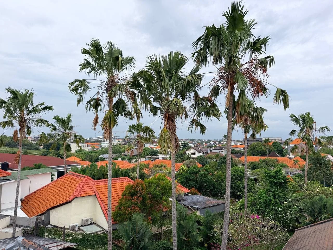 Изображение 8