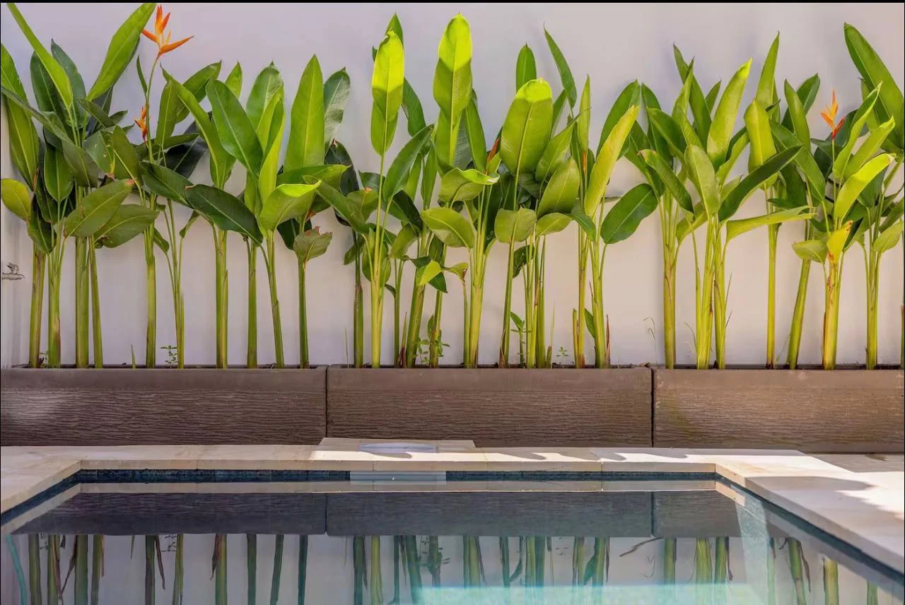 Изображение 9