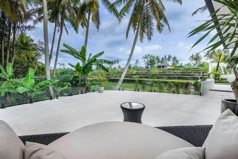 Изображение 8