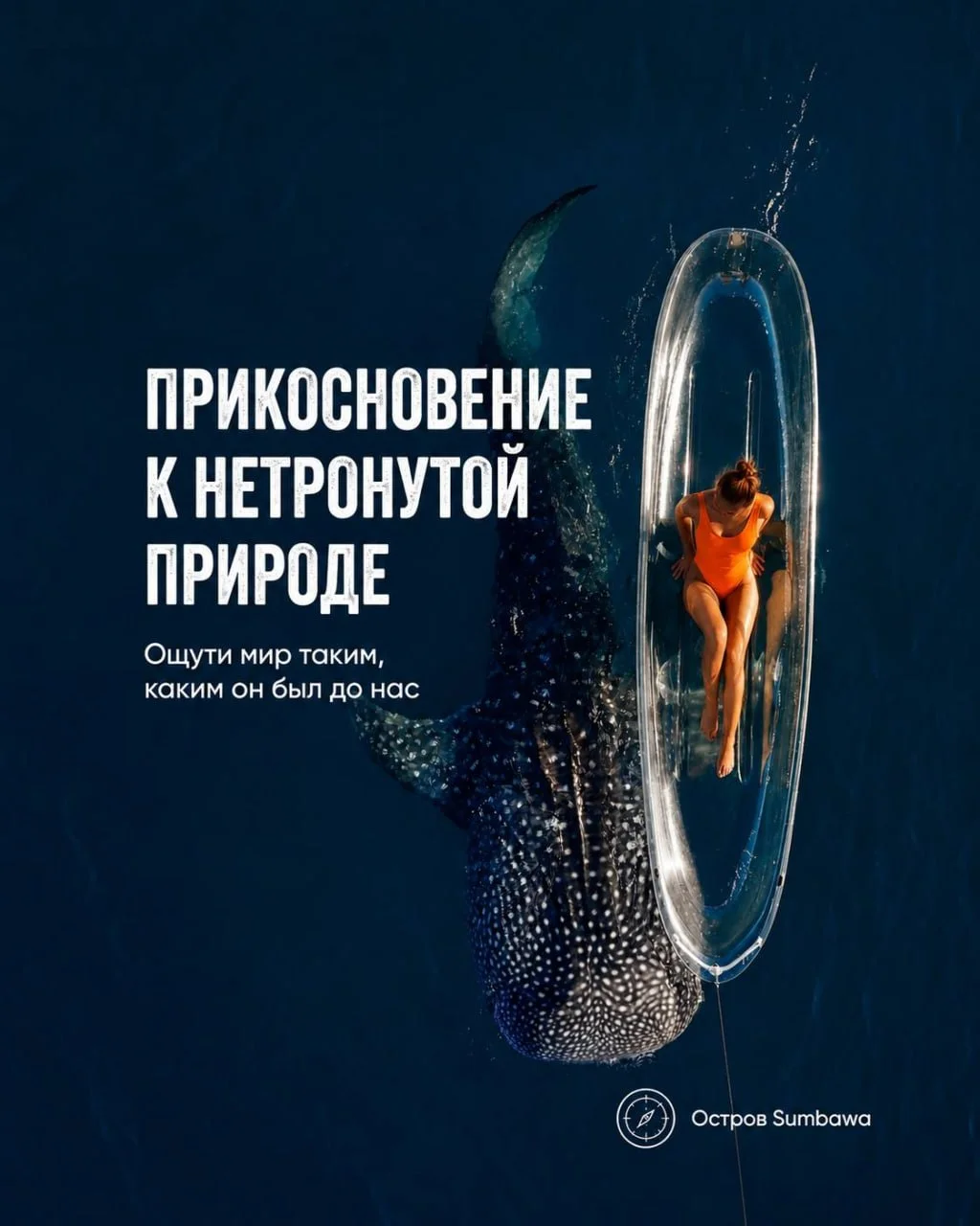 Большая Экспедиция по Индонезии 3